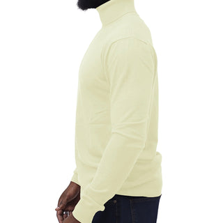 Ivory Traditional Fit Turtleneck Sweater