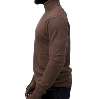 Brown Traditional Fit Turtleneck Sweater